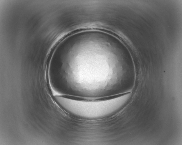 X0000080131224200612081221