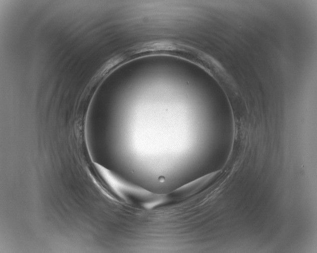 X0000080131225200612081221