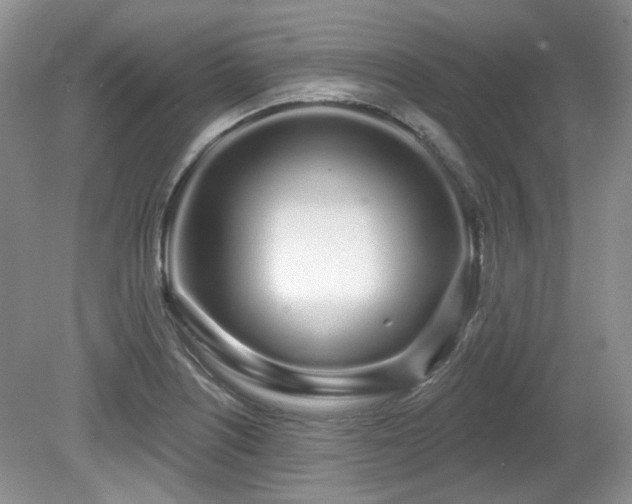 X0000080131226200612081221