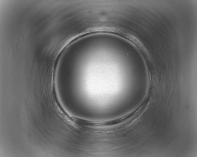 X0000080131228200612081221