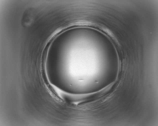 X0000080131229200612081221