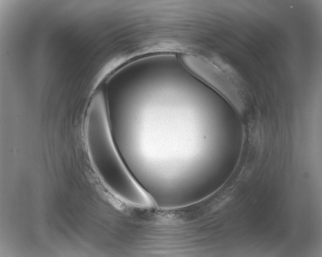 X0000080131230200612081221