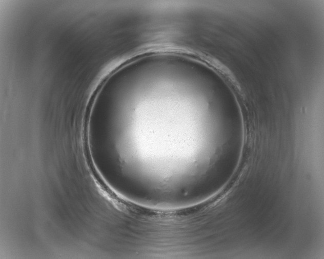 X0000080131231200612081221