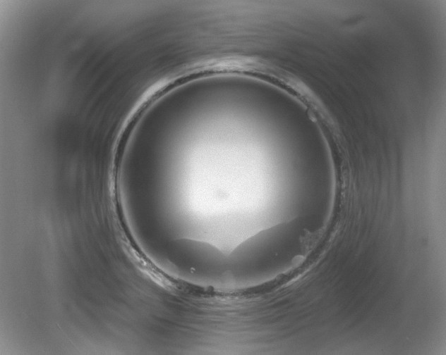 X0000080131232200612081221