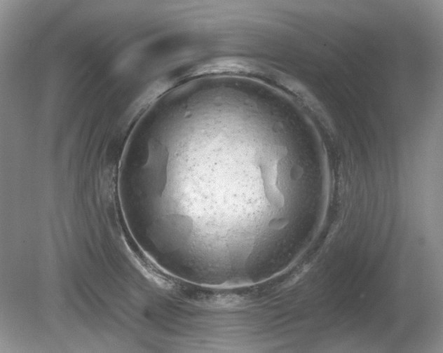 X0000080131233200612081221