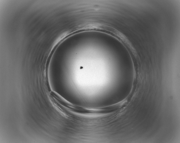 X0000080131234200612081221