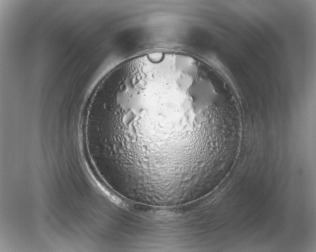 X0000080131235200612081222