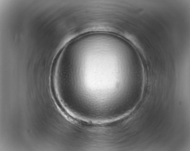 X0000080131237200612081222