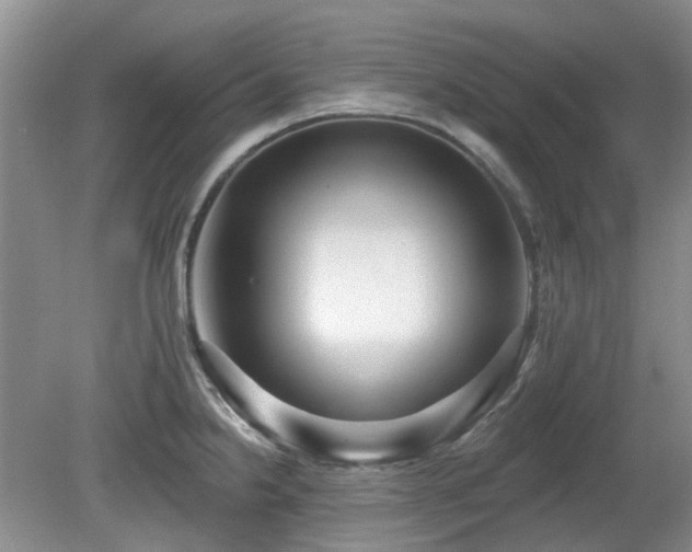 X0000080131238200612081222