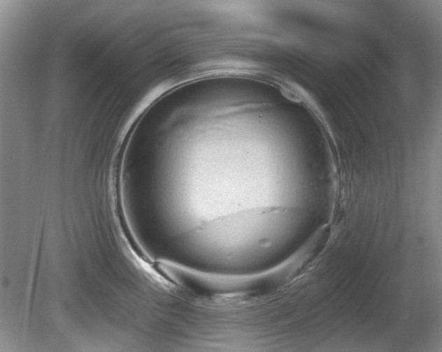 X0000080131243200612081222