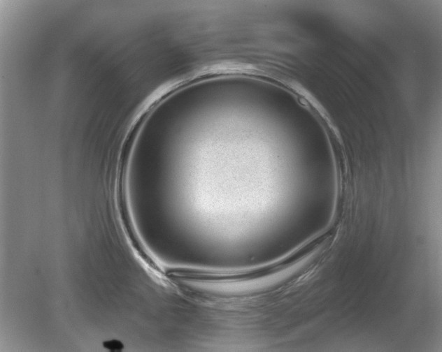 X0000080131245200612081222