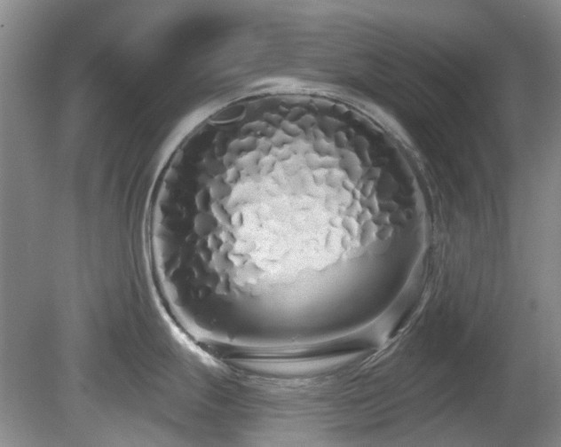 X0000080131247200612081222