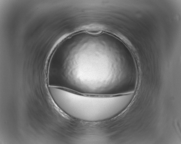 X0000080131248200612081222