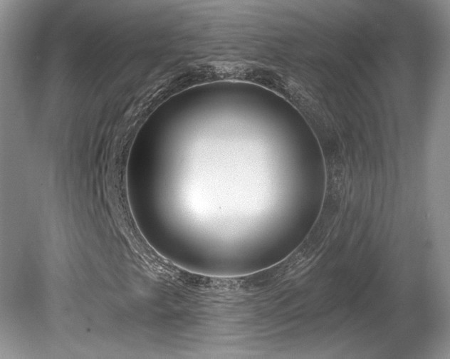 X0000080131249200612081221