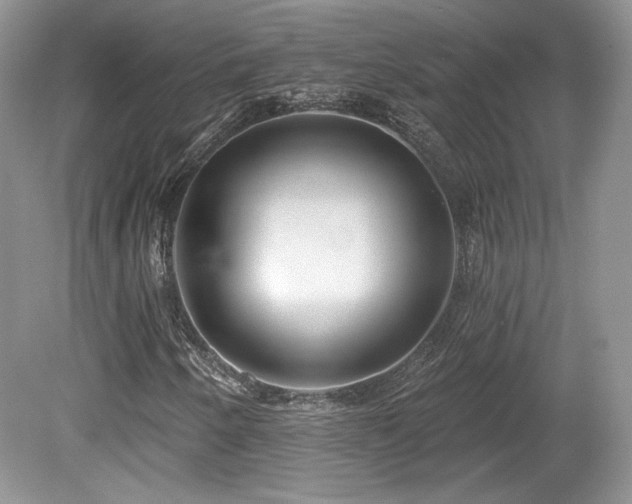 X0000080131250200612081221