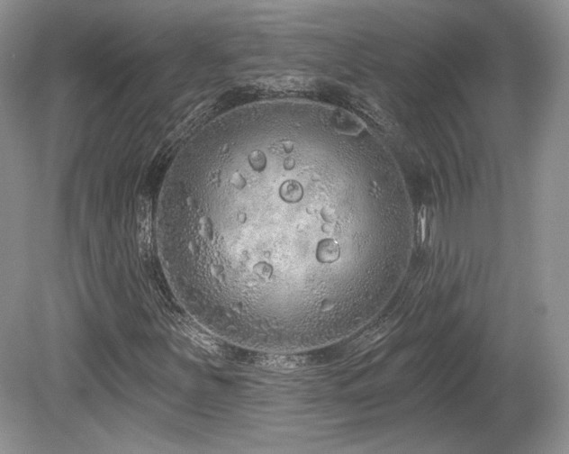 X0000080131251200612081221