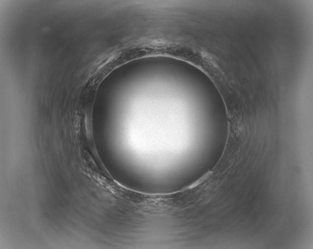 X0000080131253200612081221