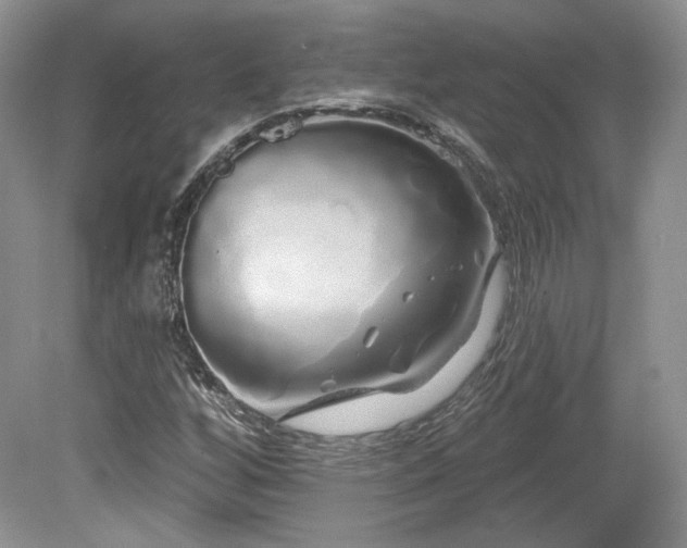 X0000080131256200612081221