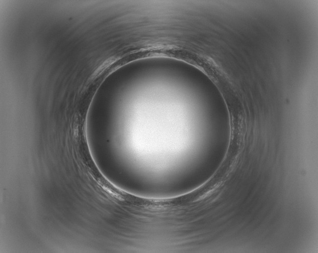 X0000080131257200612081221