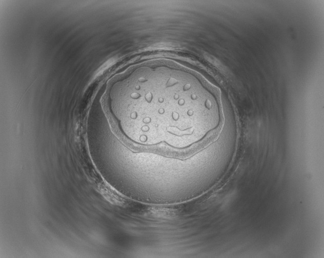 X0000080131258200612081221