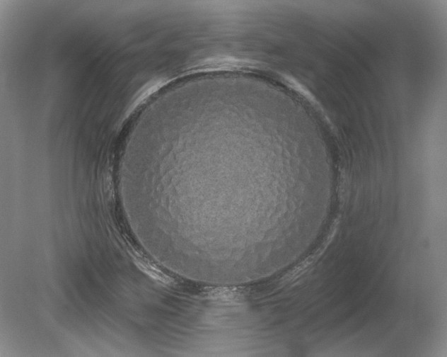 X0000080131259200612081221