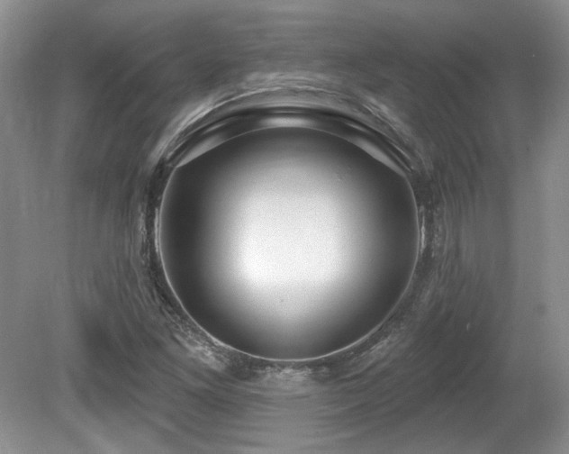 X0000080131261200612081221