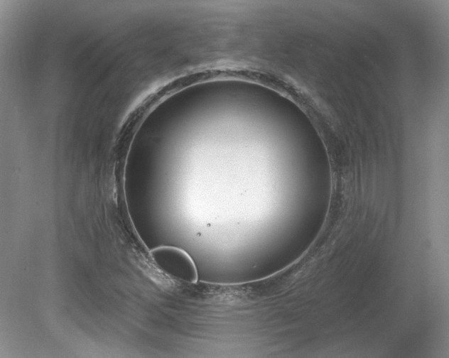 X0000080131262200612081221