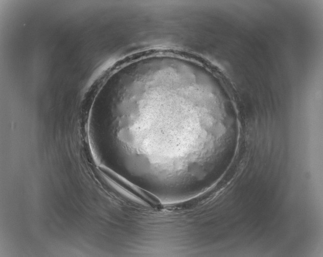 X0000080131263200612081221