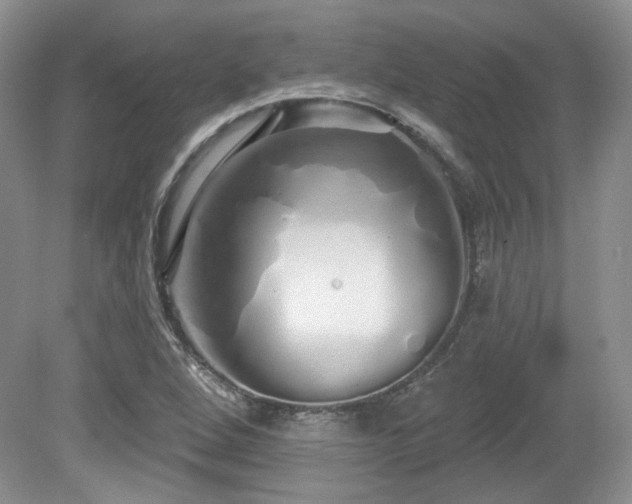 X0000080131264200612081221