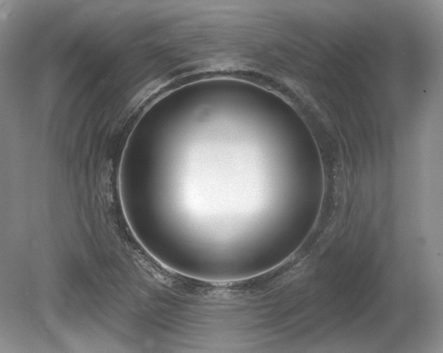 X0000080131265200612081221