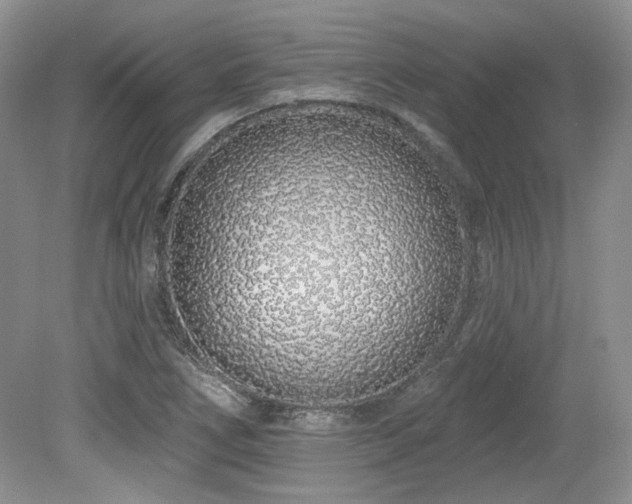 X0000080131266200612081221