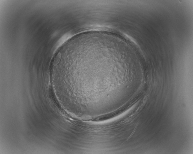 X0000080131267200612081221