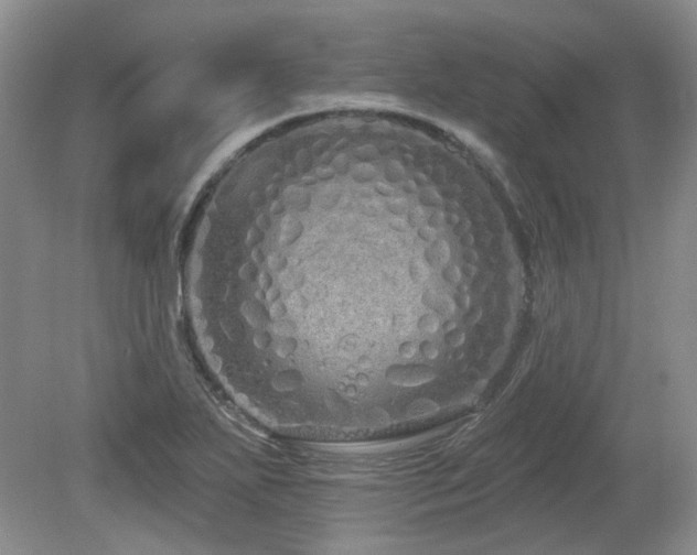 X0000080131271200612081221