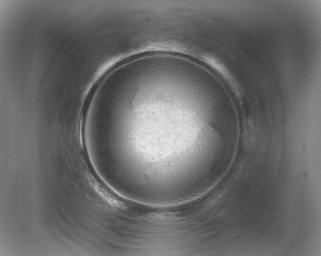 X0000080131272200612081221