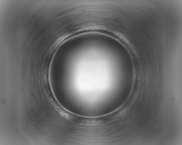 X0000080131273200612081220