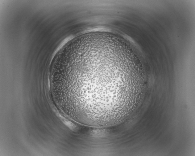 X0000080131274200612081220