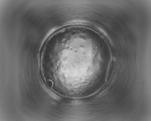 X0000080131275200612081220