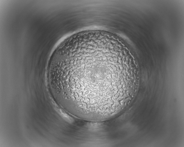 X0000080131278200612081220