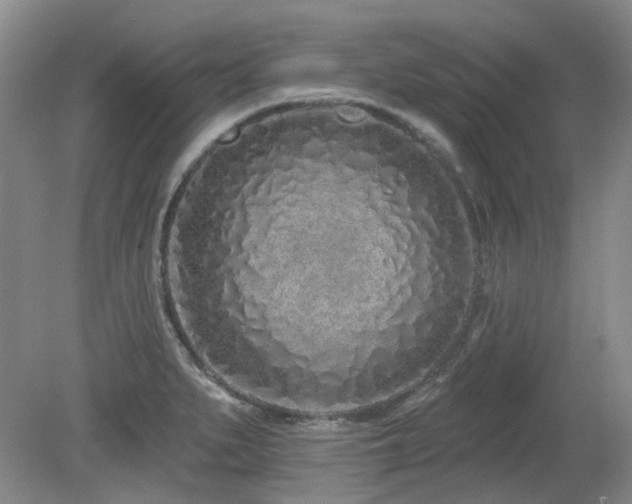 X0000080131279200612081220