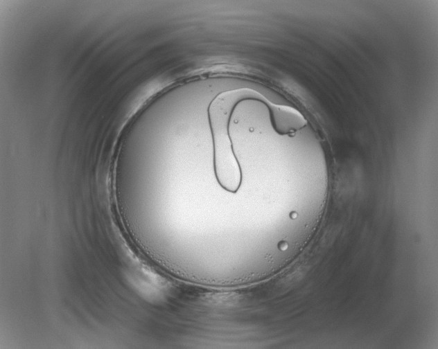 X0000080131282200612081220