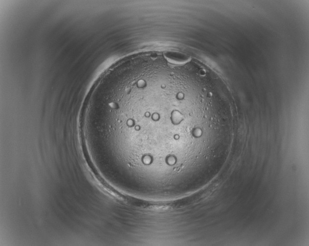 X0000080131283200612081220