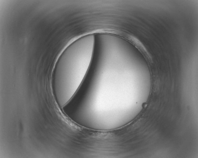 X0000080131284200612081220