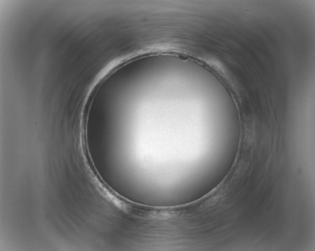 X0000080131286200612081220