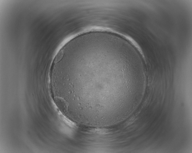 X0000080131287200612081220