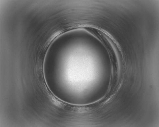 X0000080131289200612081220