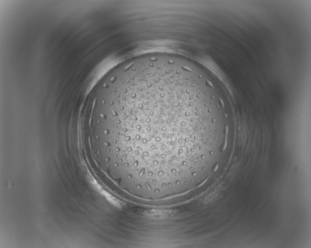 X0000080131290200612081220