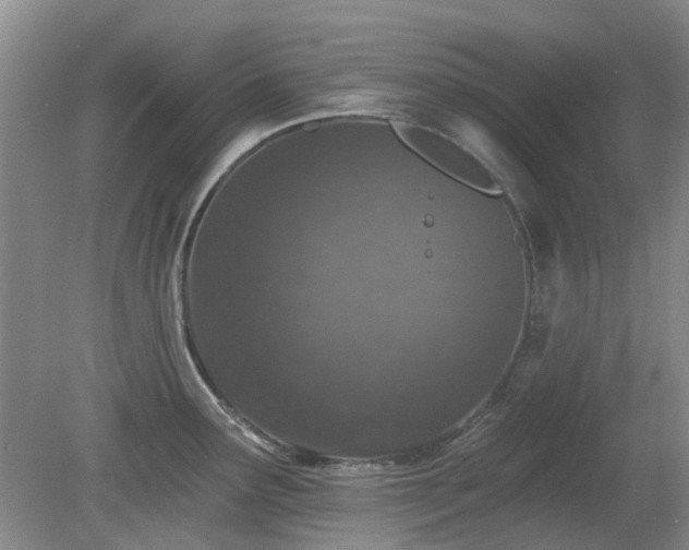 X0000080131291200612081220