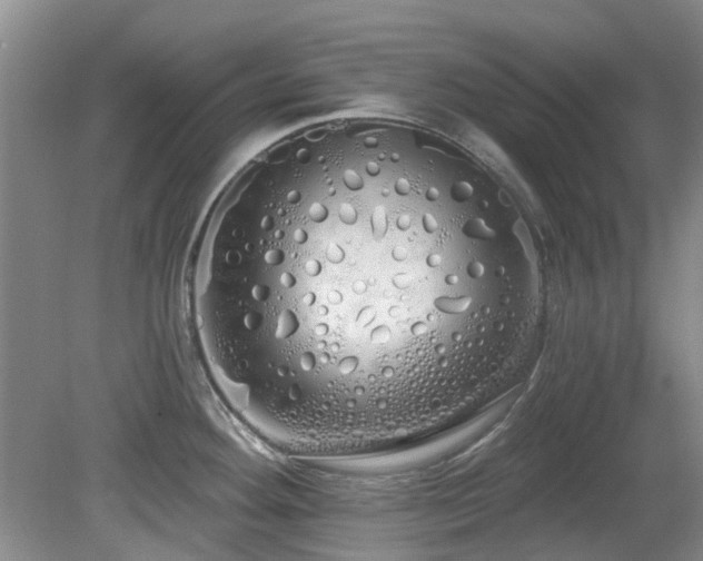 X0000080131292200612081220