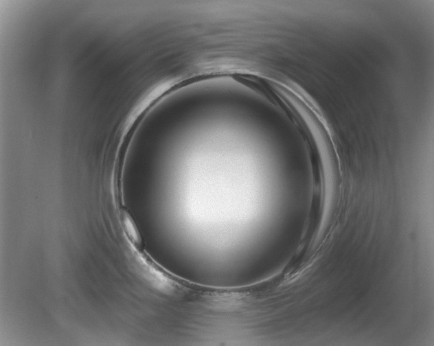 X0000080131293200612081220