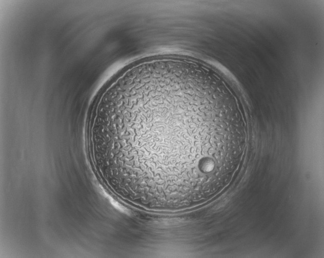 X0000080131294200612081220